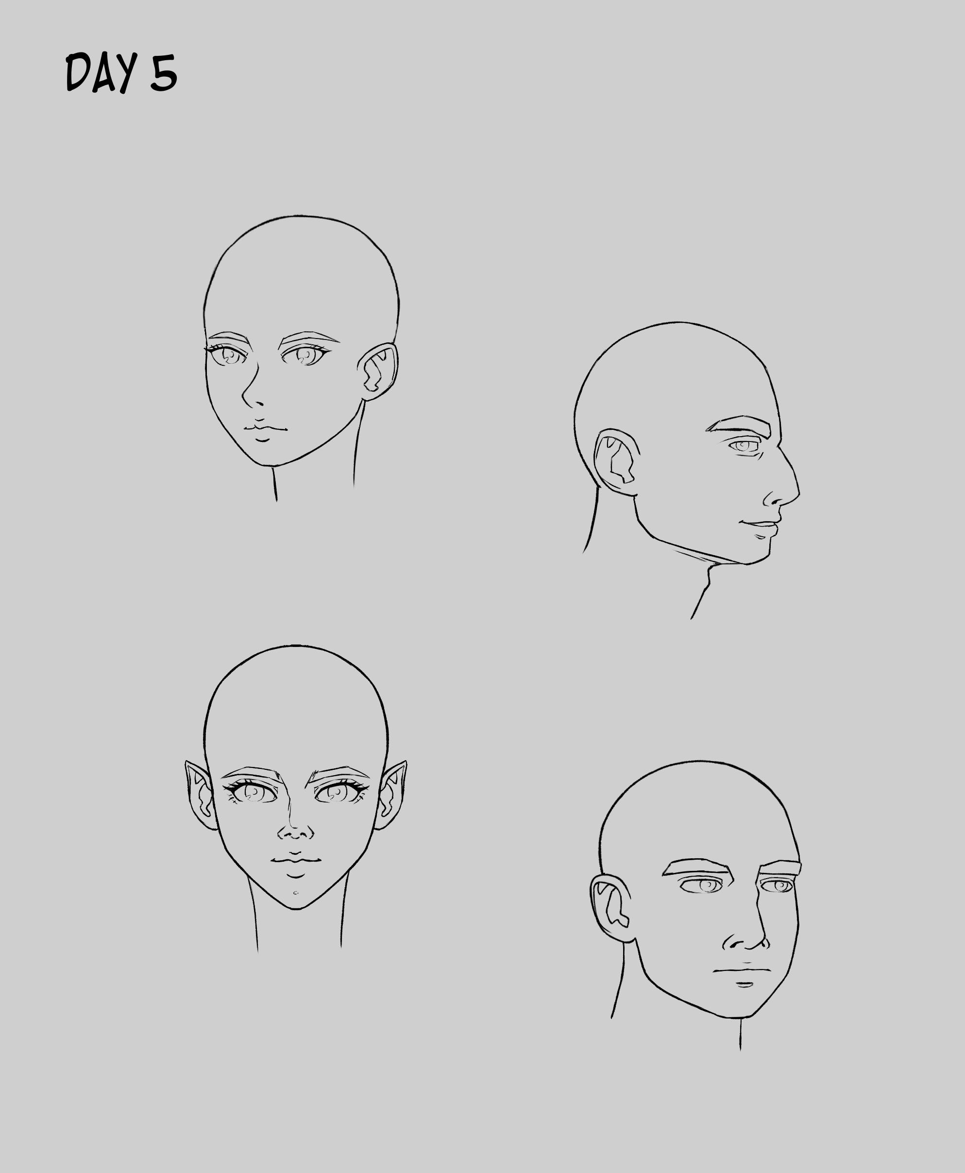 Let S Learn To Draw Portraits In 7 Days By Lilly Mist Let S Learn To Draw Portraits In 7 Days By Lilly Mist