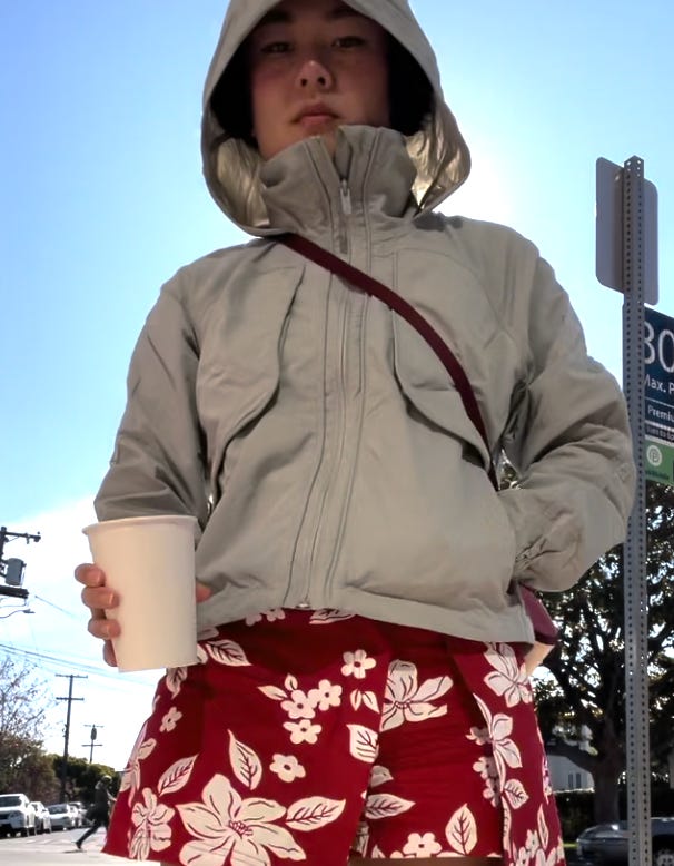 this jacket looks like helmut lang—but isn't - by Viv Chen