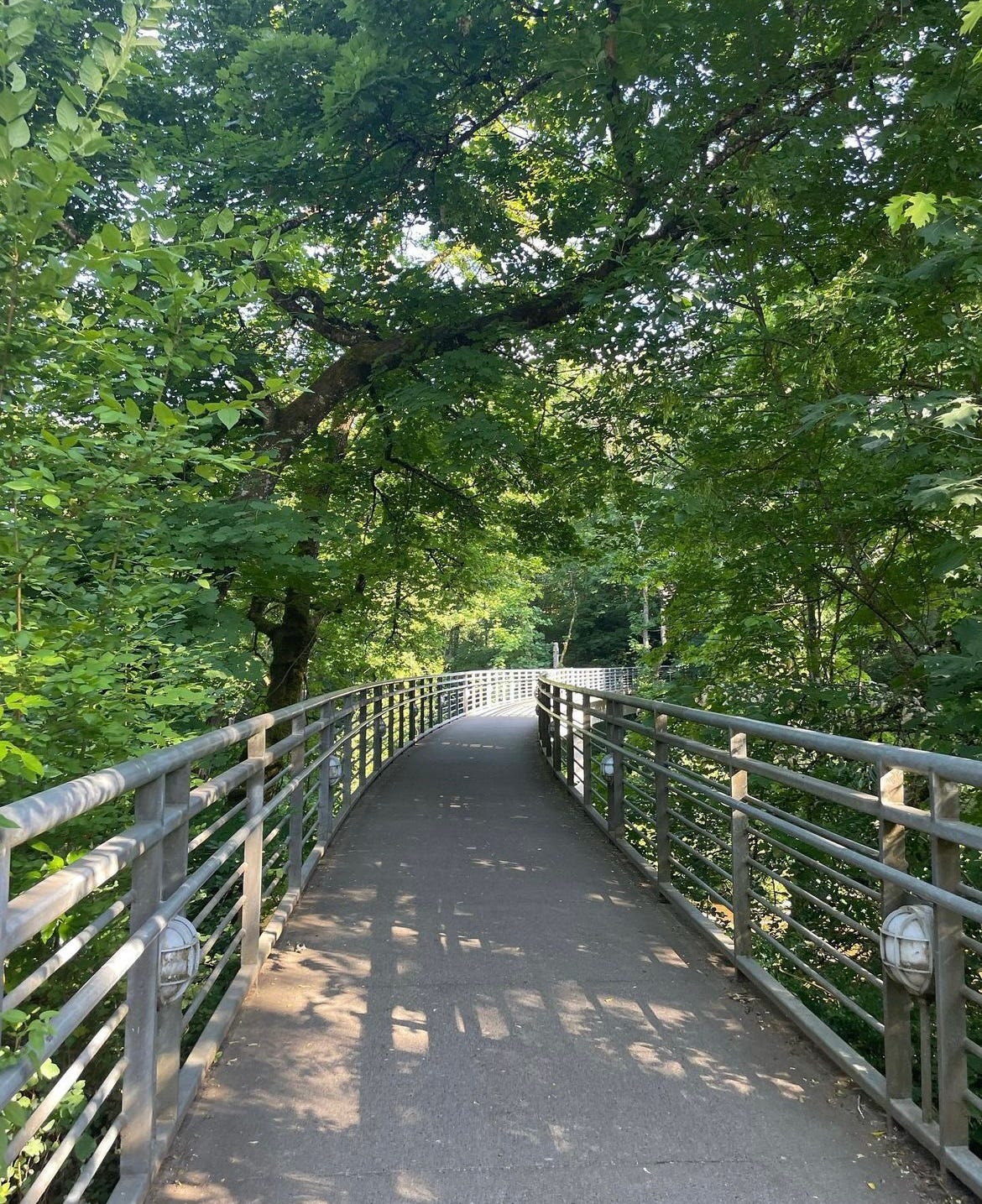 Tin House Summer 2023 Recap The Cranky Guide