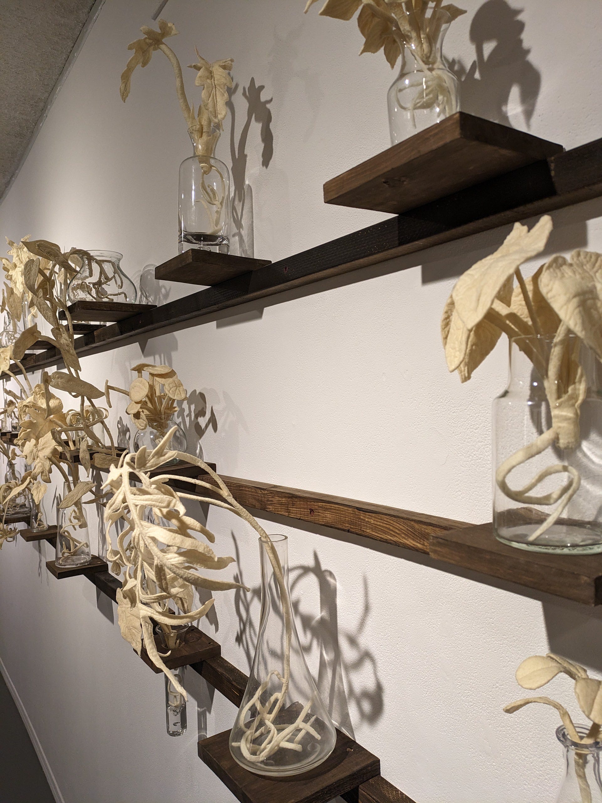 Art Review The Social Life Of Wallflowers