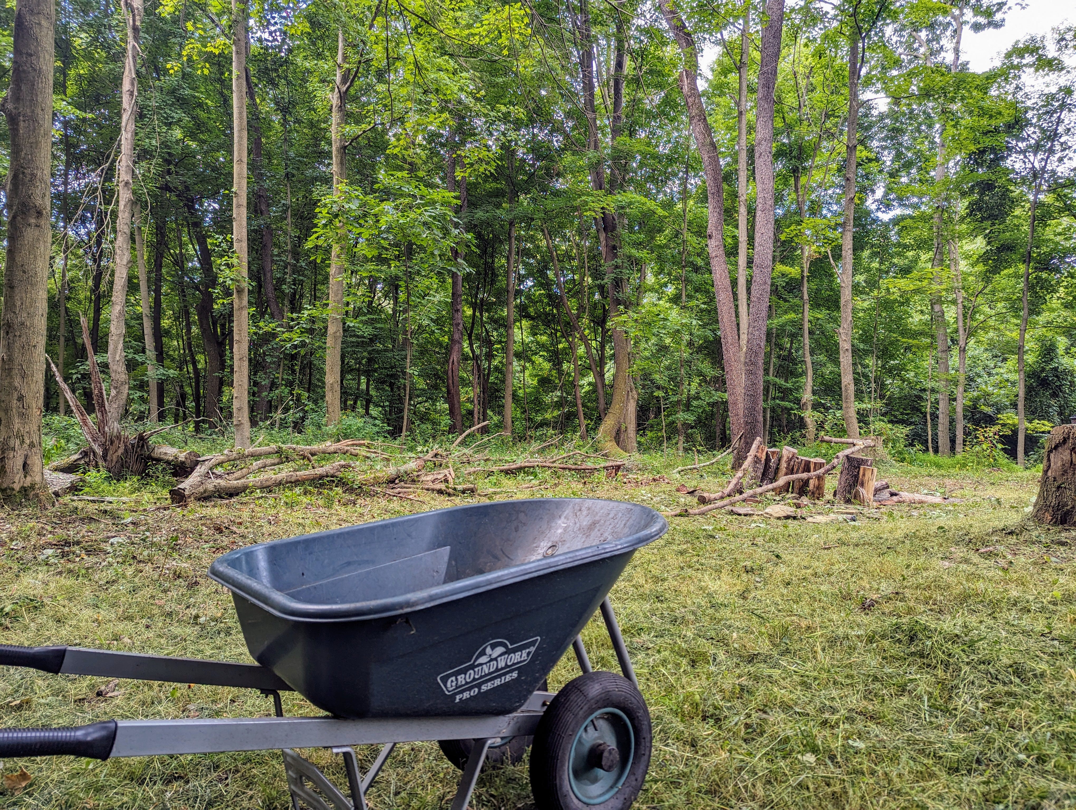 Groundwork pro shop series wheelbarrow
