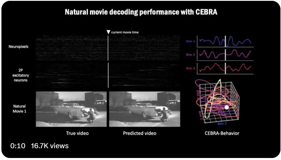 Tech in Bio Recap: Organoid Intelligence; AI Platforms; Biocomputing ...