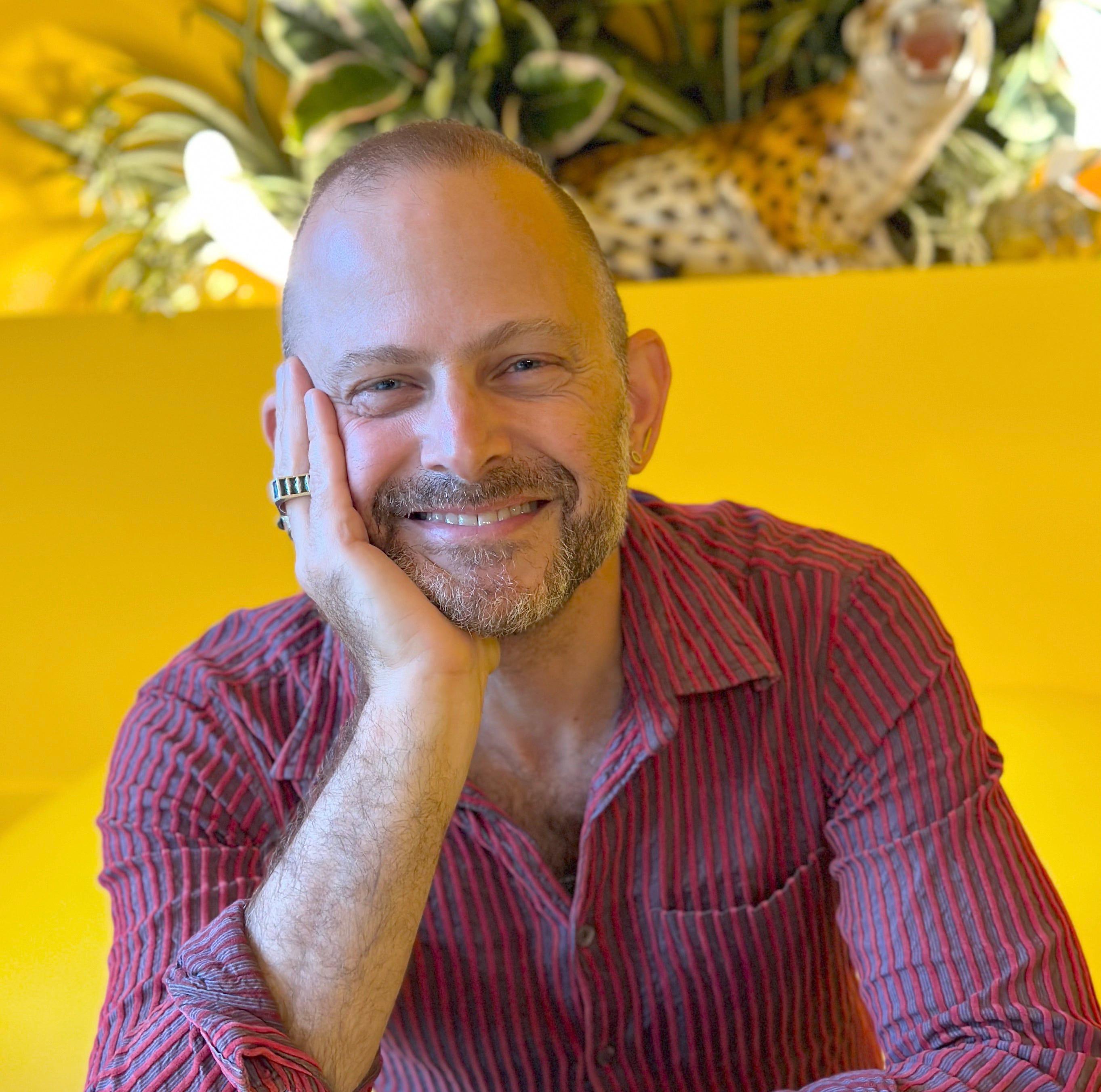 Heaven Knows ／Steve Newman 【公式通販】