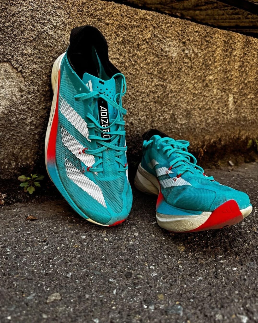 Adidas adizero adios azul online
