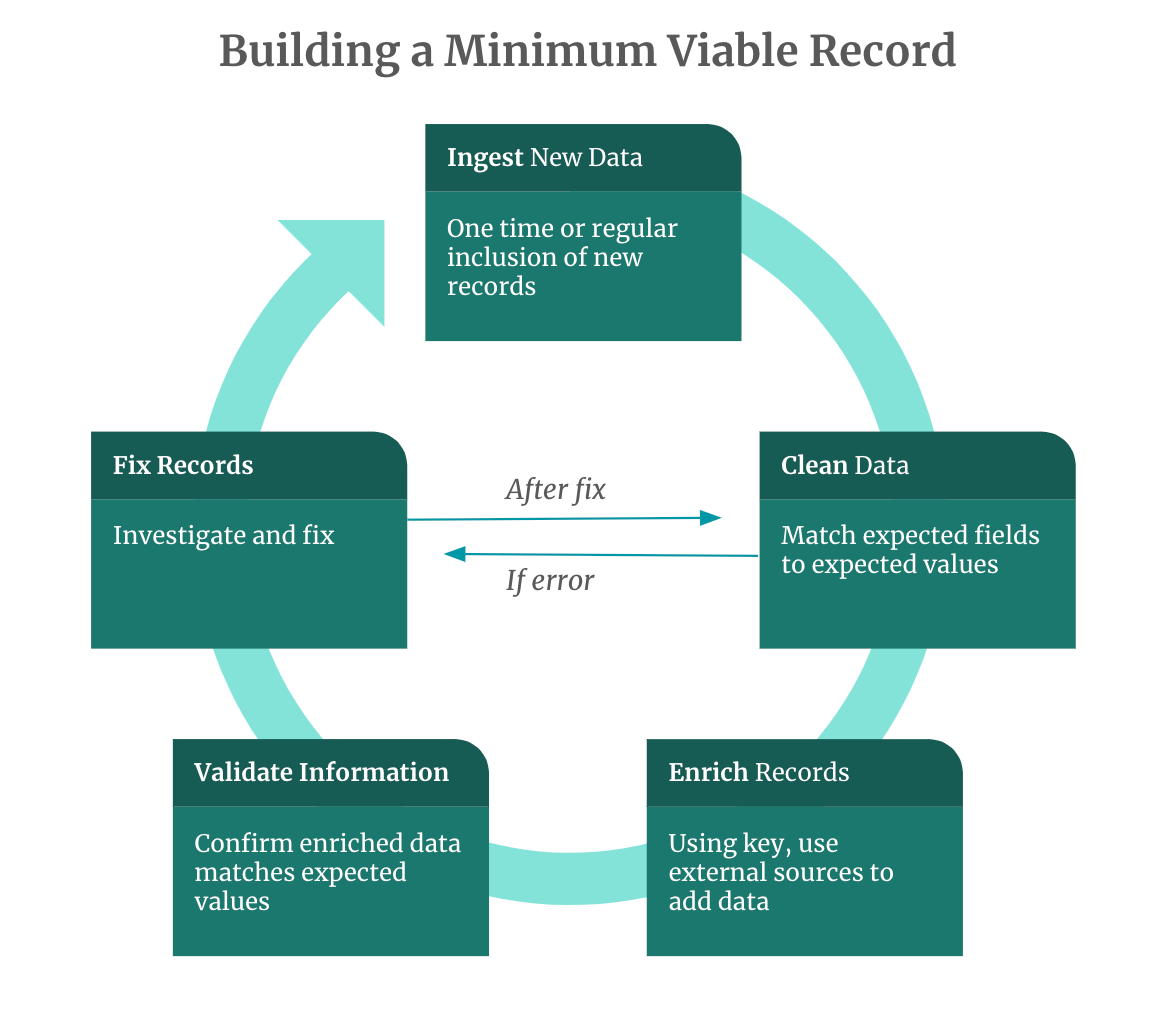 What kind of data belongs in a Minimum Viable Record
