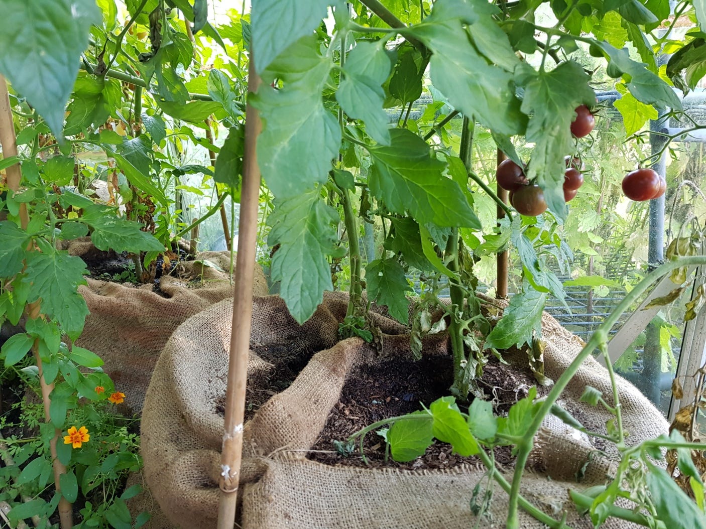 How to make hessian grow bags by Sally Nex Greenery
