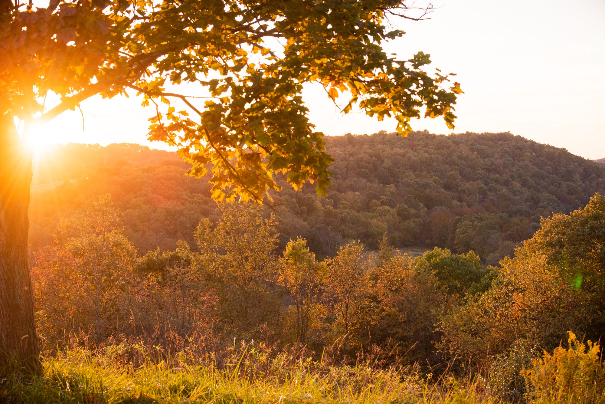 Mountain Top Campground Tarentum, PA by Cindy Gullett