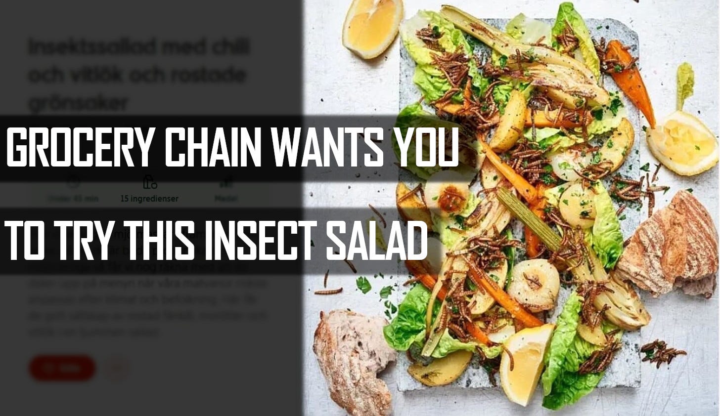 28 EXPECT MEALWORMS TO APPEAR ON THE MENU SAYS GROCERY CHAIN