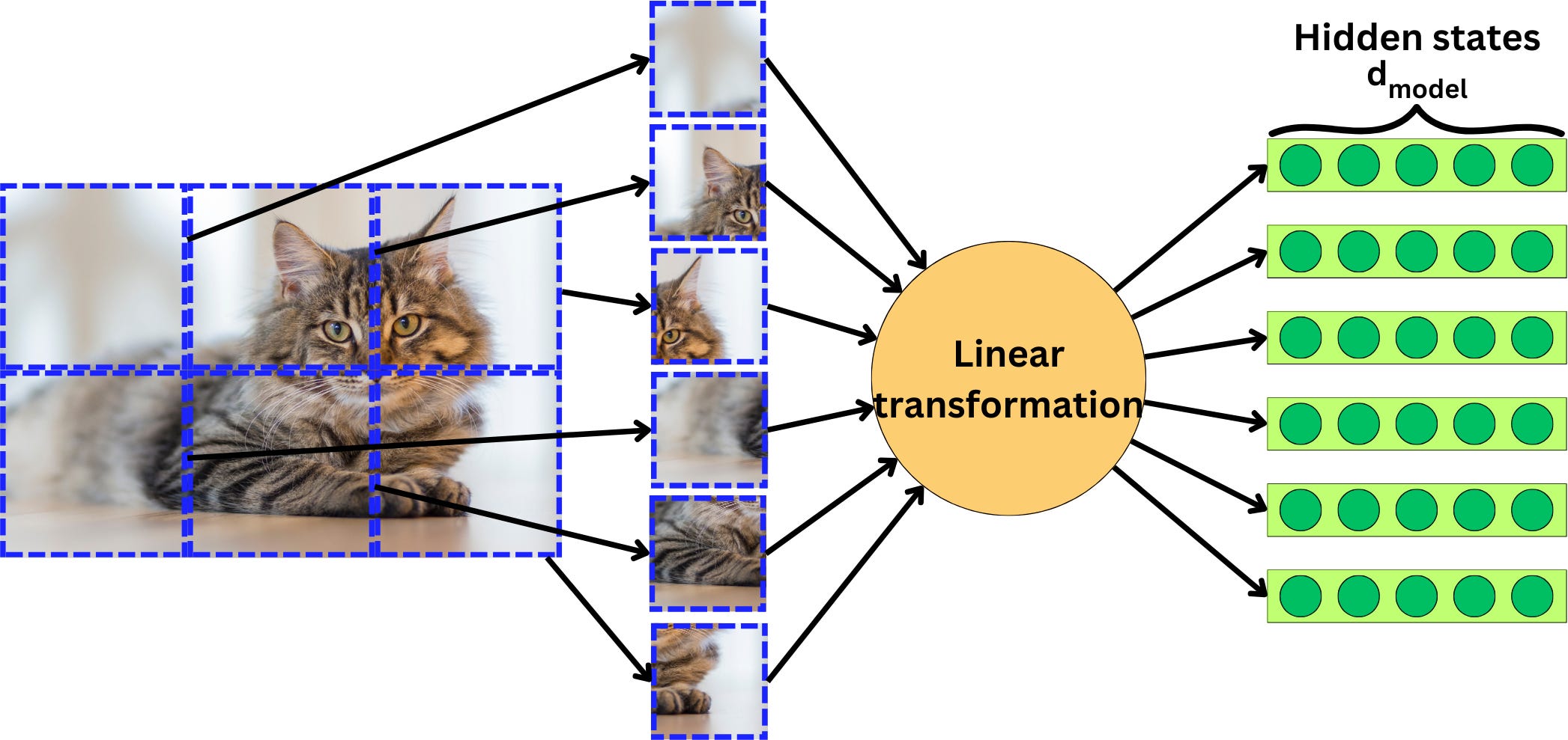 Beyond LLMs: The Vision Transformer - by Damien Benveniste