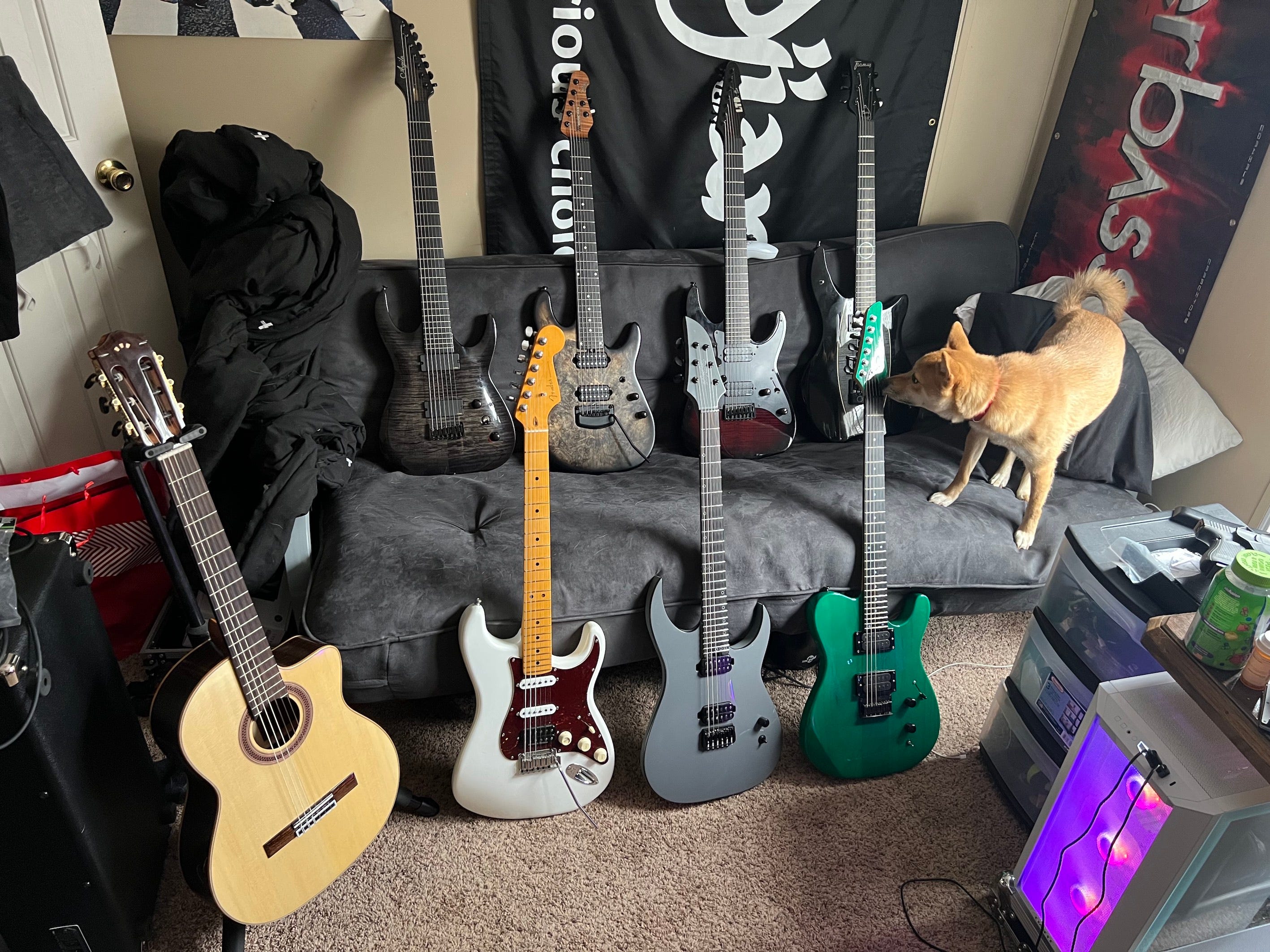 Acquire guitars shop