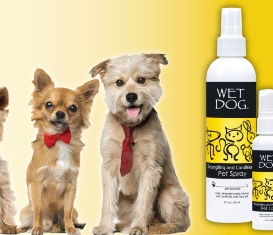 Wet dog 2025 shampoo
