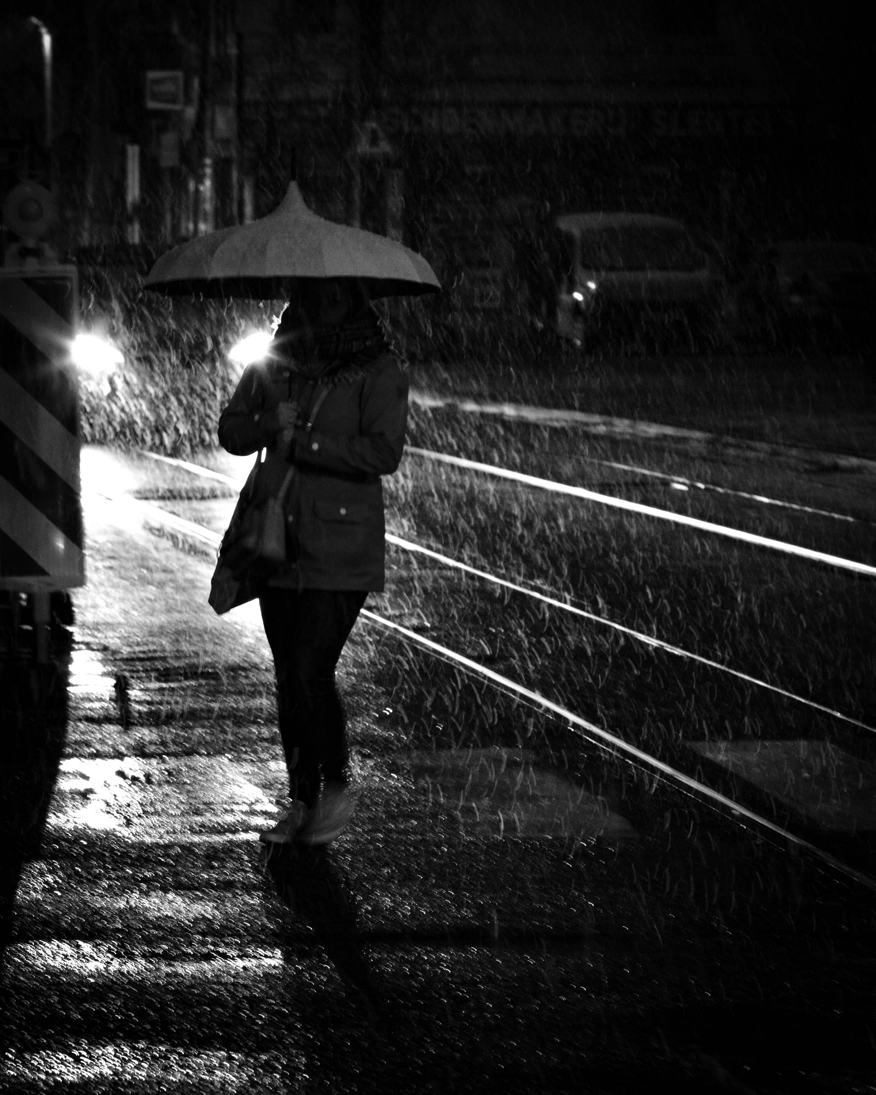 #23 wandering aimlessly by gery #23 wandering aimlessly by gery