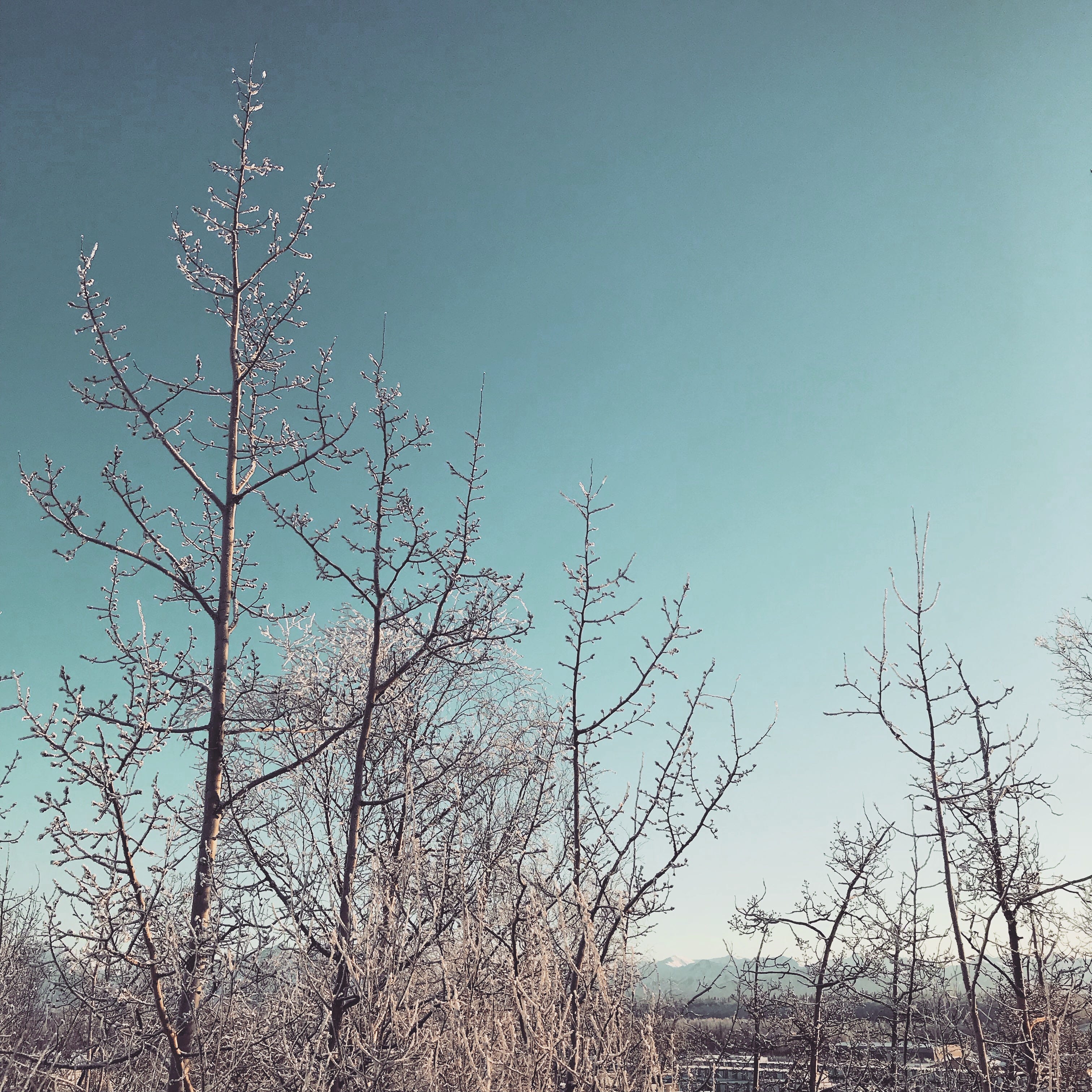 grease the skids Shannon Guerra