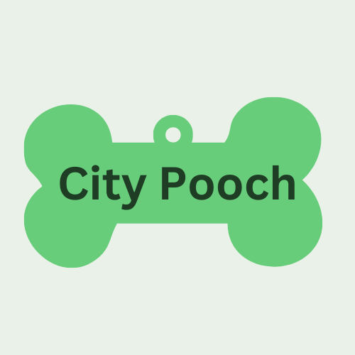 City pooch clearance