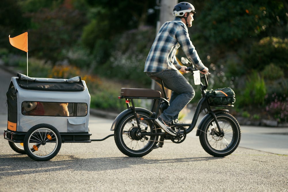 Modified Radrunner Micromobility Newsletter: 🏃♀️ RadRunner eBike Reborn