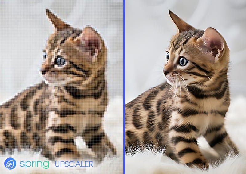 Spring into Creativity! - by Eva Rtology