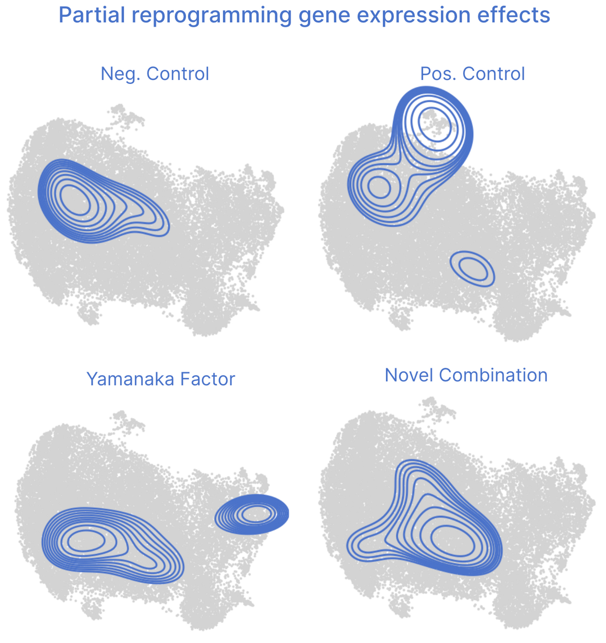 February 2023 Progress Update - by Jacob C. Kimmel