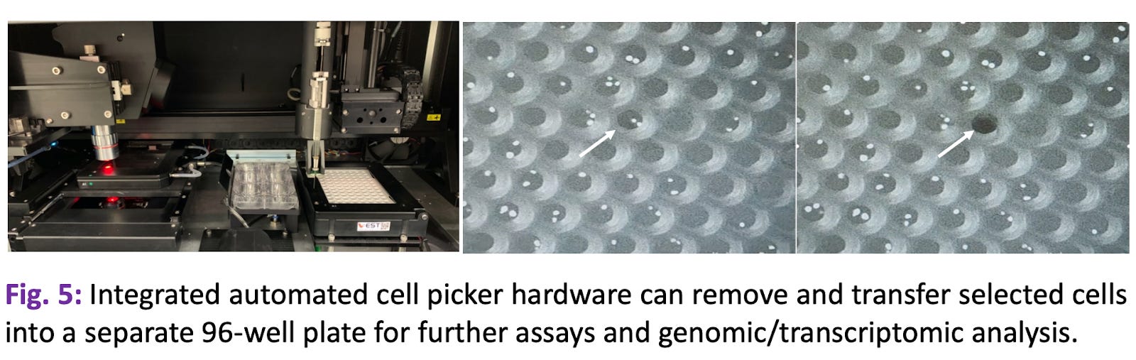 Landscape of Single-cell Technologies - by Hannah Le