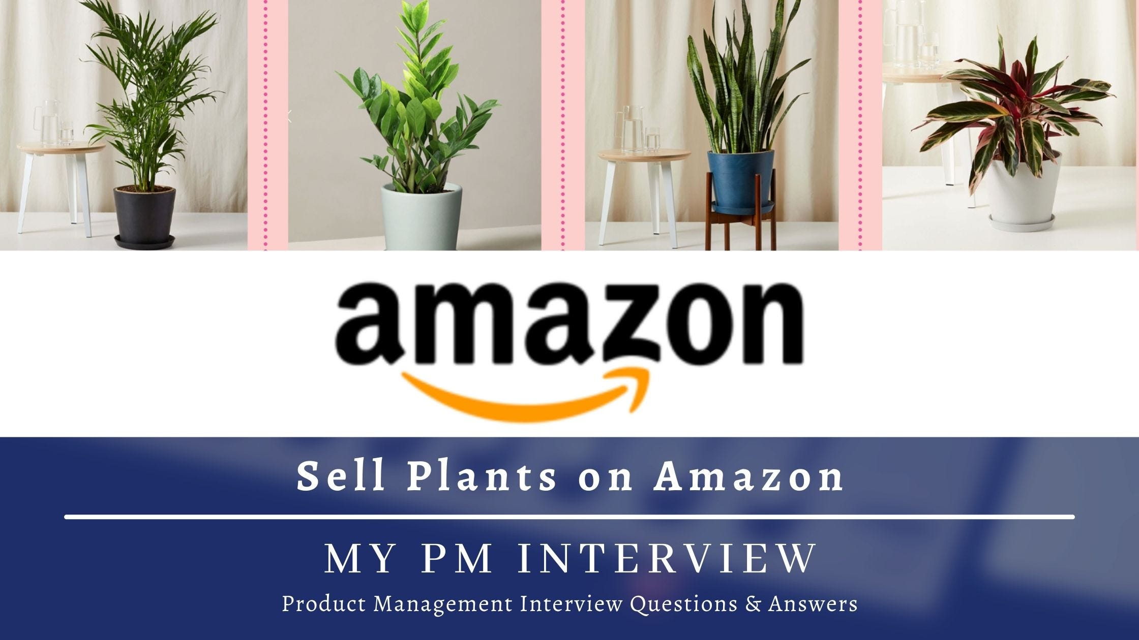 How would you sell live plants on Amazon? Product Strategy