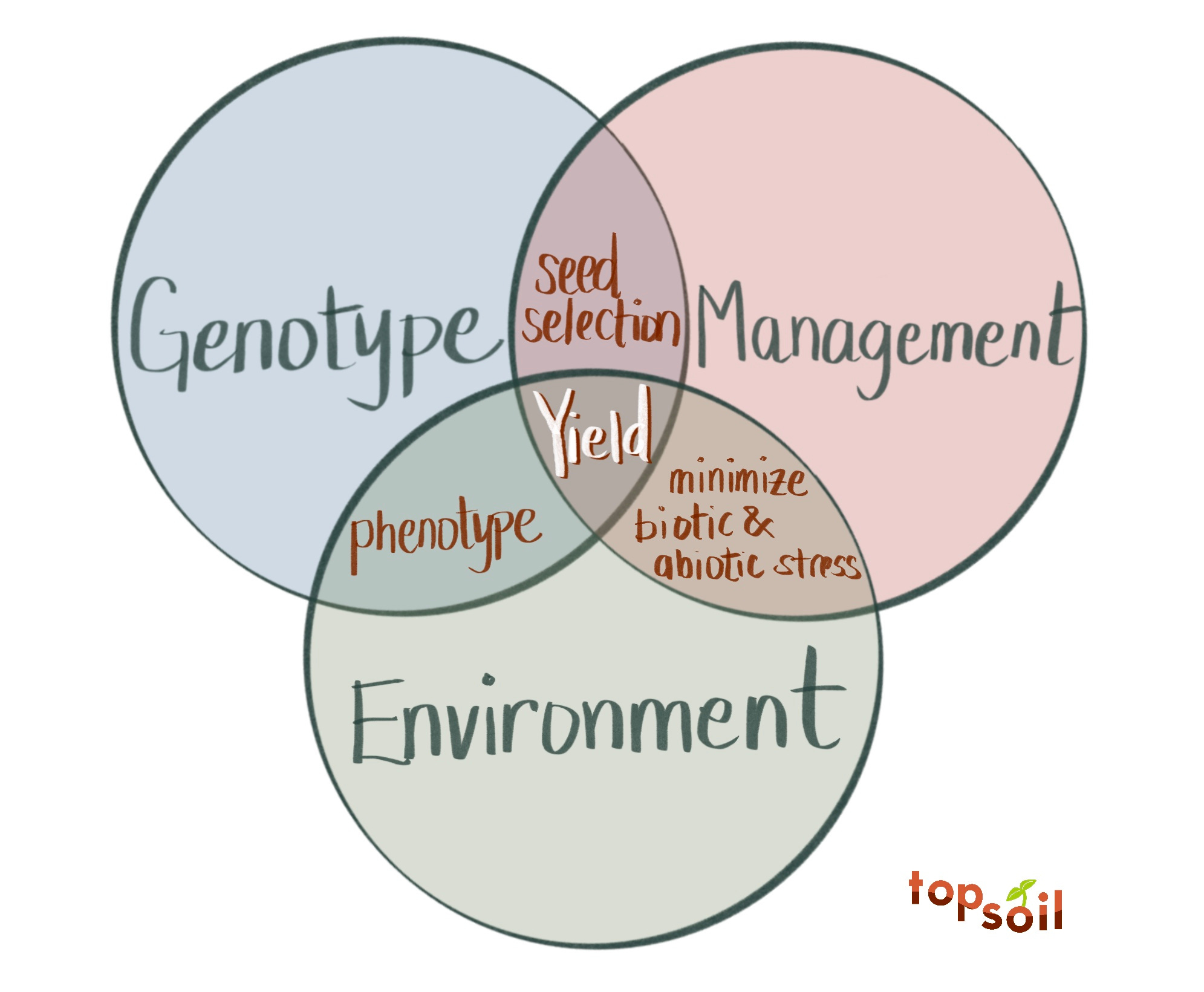 We didn’t produce this much only to produce this much