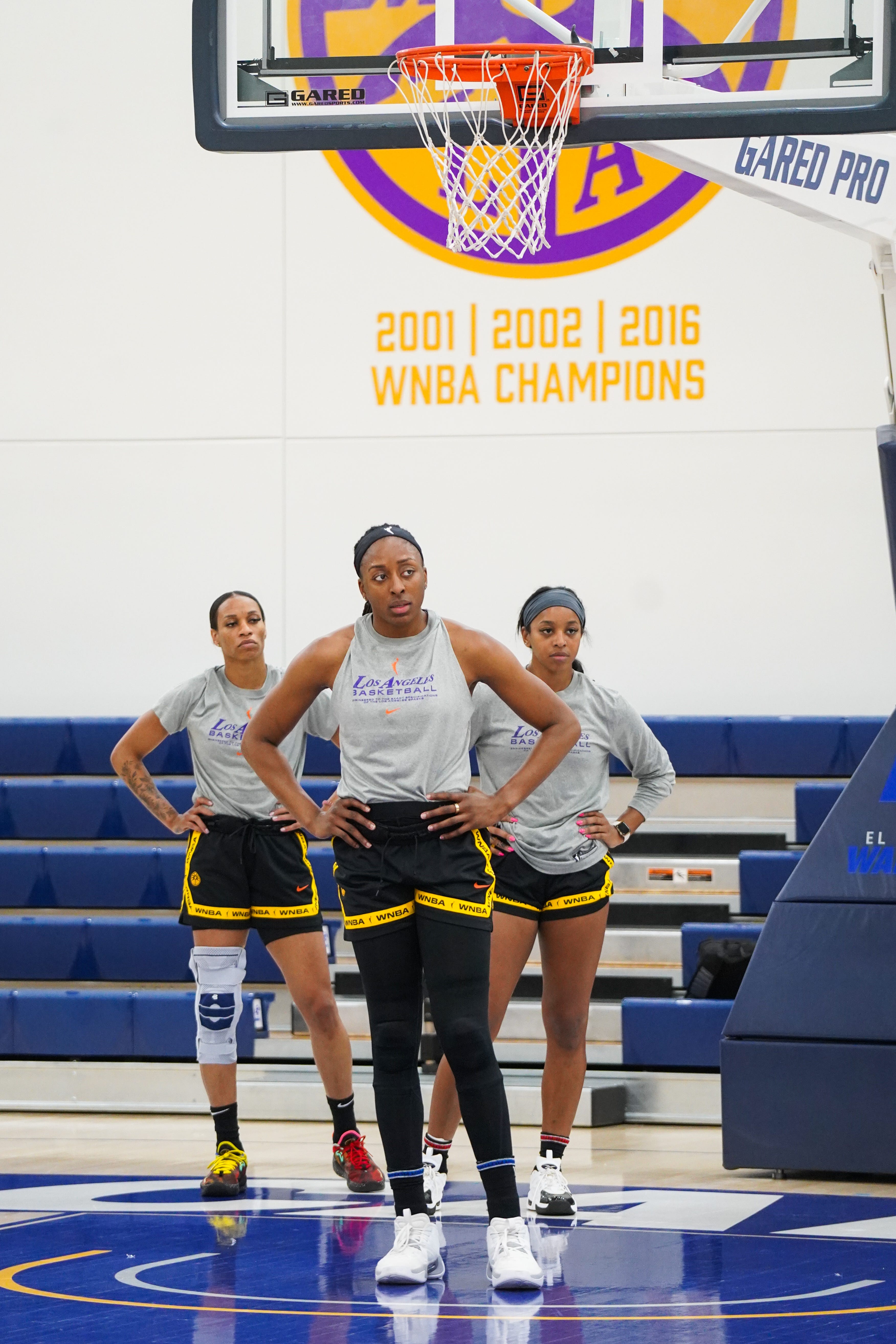 Season Preview The Los Angeles Sparks