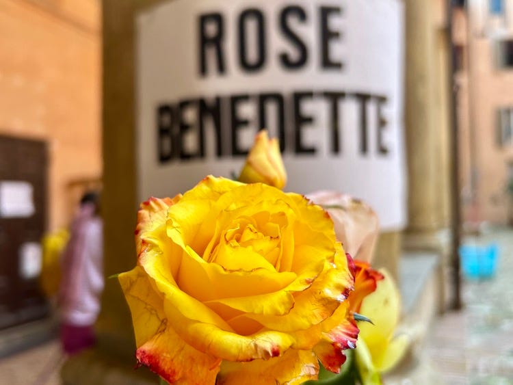 Via Emilia: le rose di Santa Rita - by Monica Campagnoli