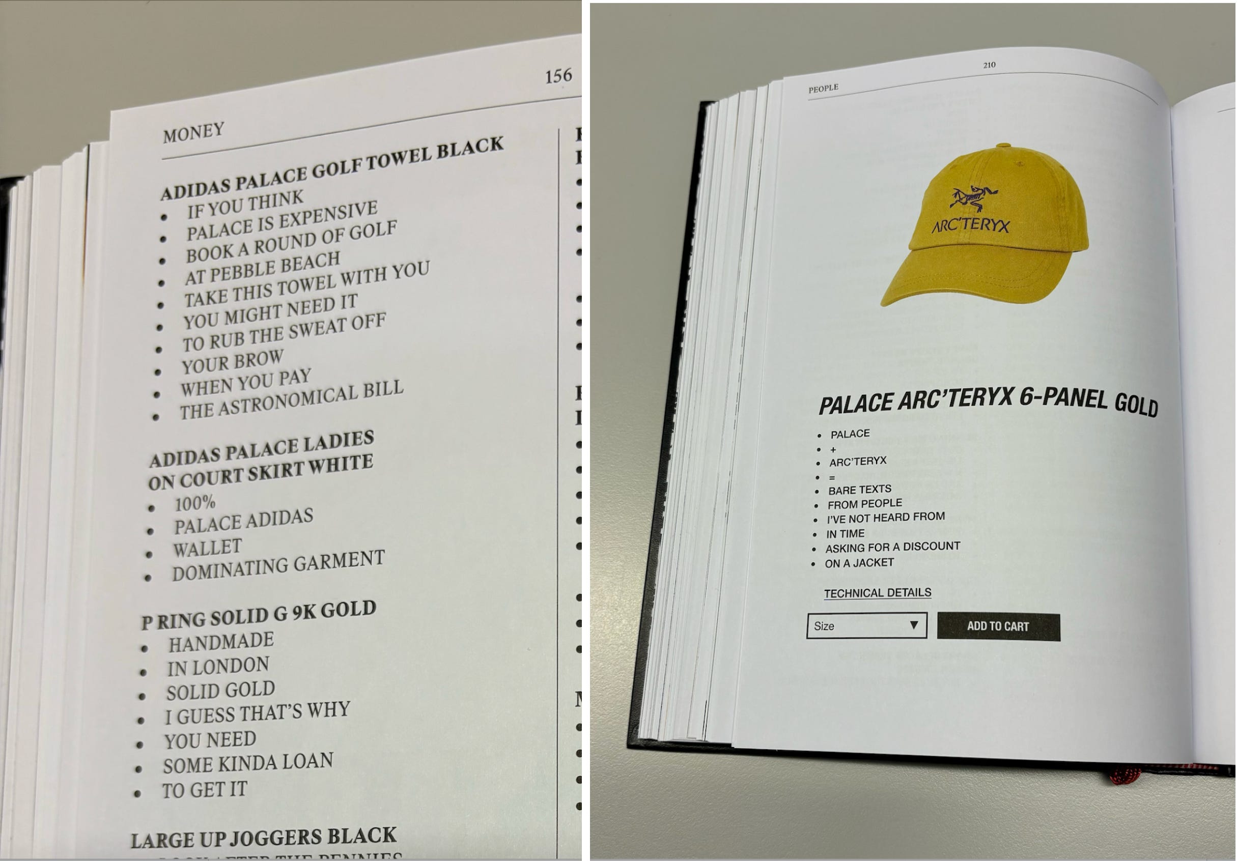 The Palace Product Descriptions Edition - by Louis Cheslaw