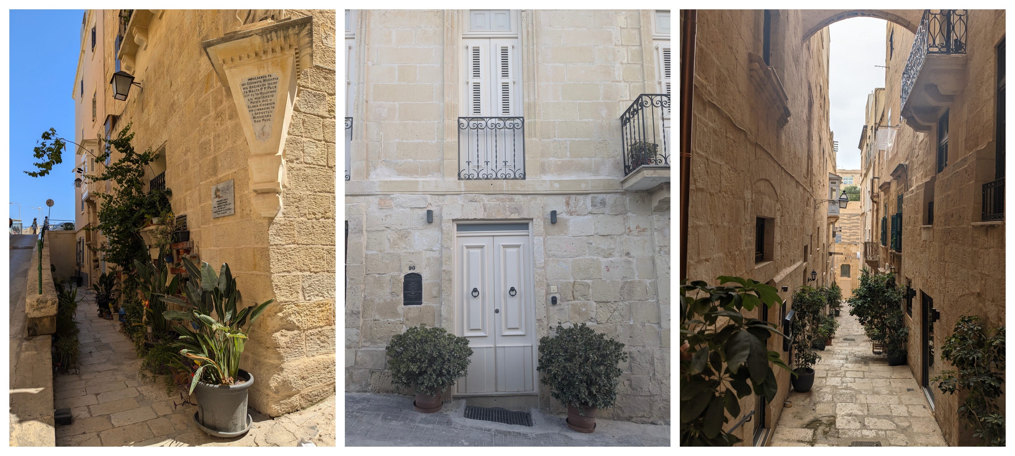 Balkan Ecology Project : Street Trees and Wild Plants of Valletta ...