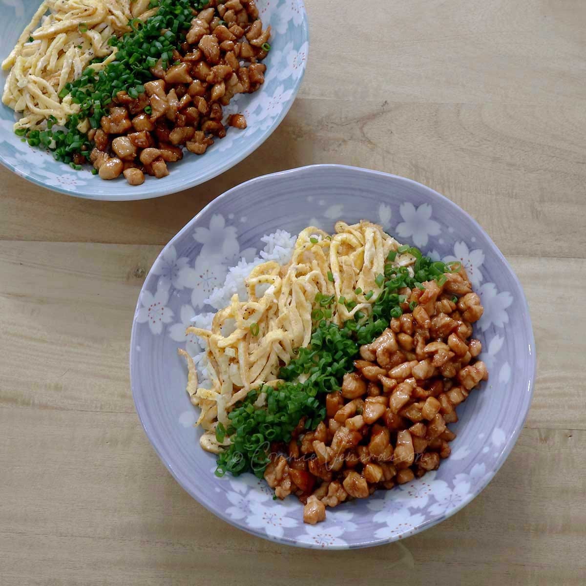 13 Japanese donburi and the rice bowls of Asia