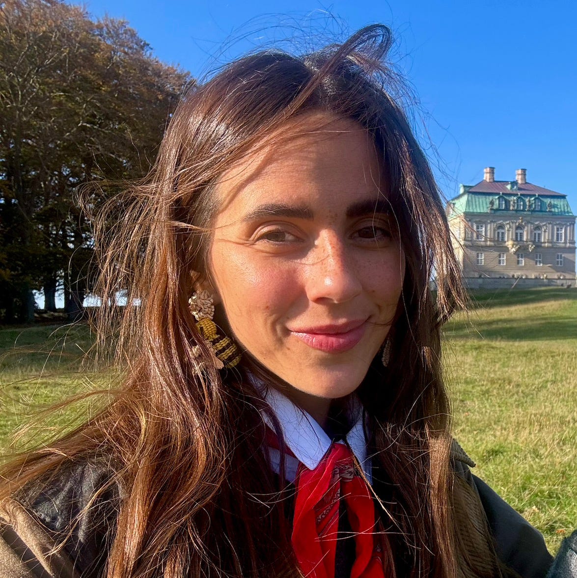 nike-van-dinther-substack