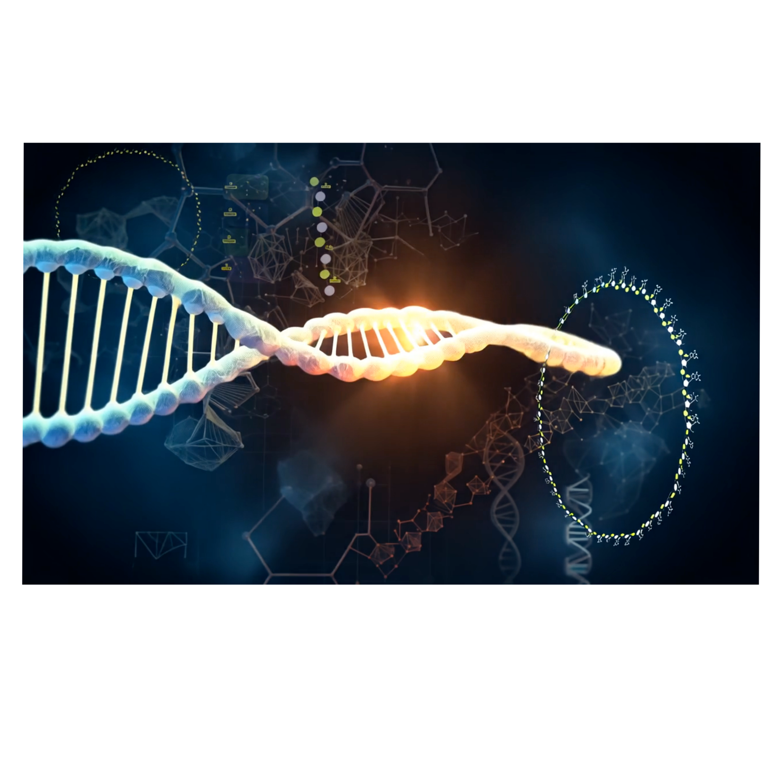 Good Rna Circular DNA & RNA - by Luke McLaughlin