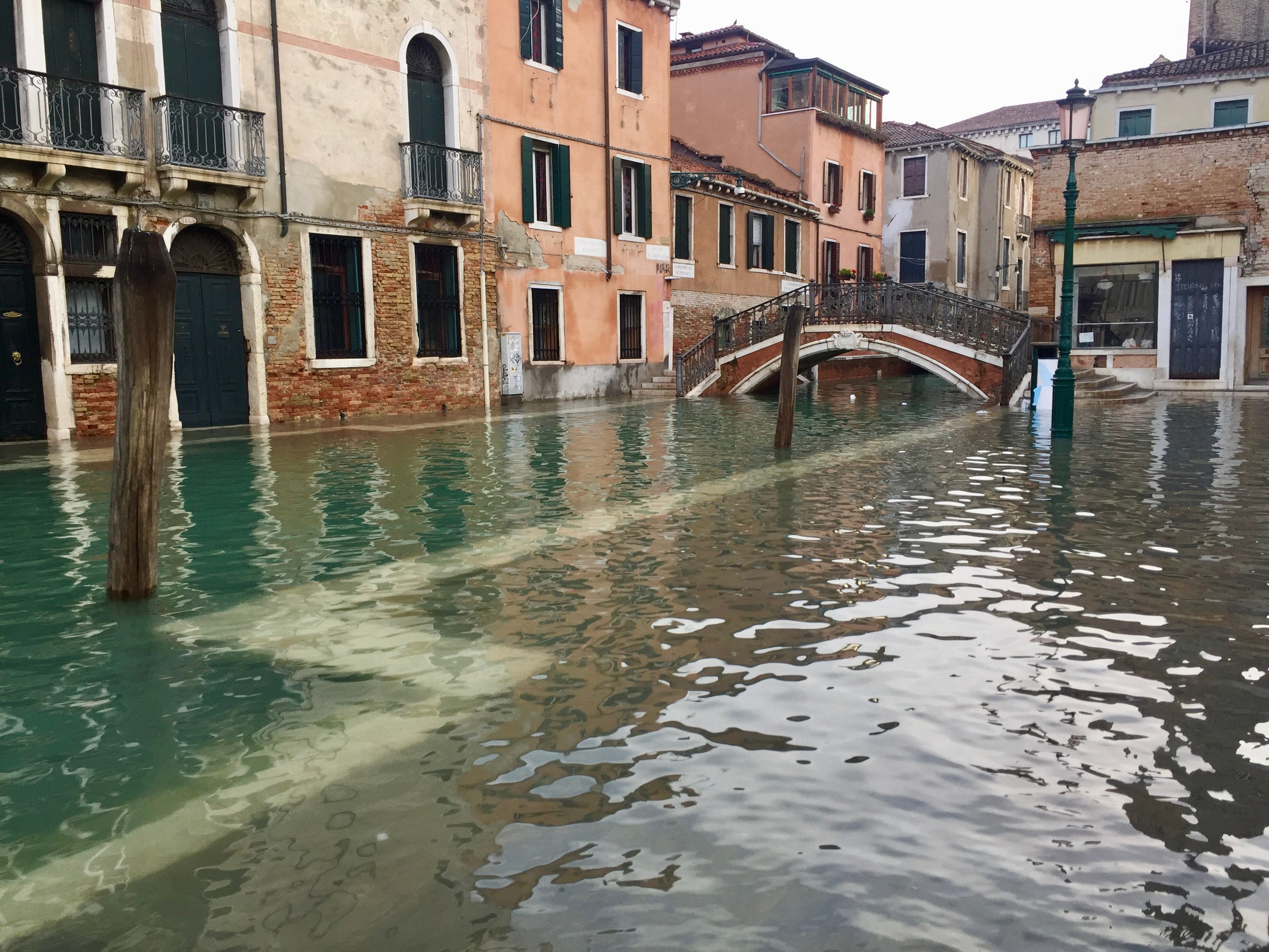 high-water-by-cheryl-a-ossola