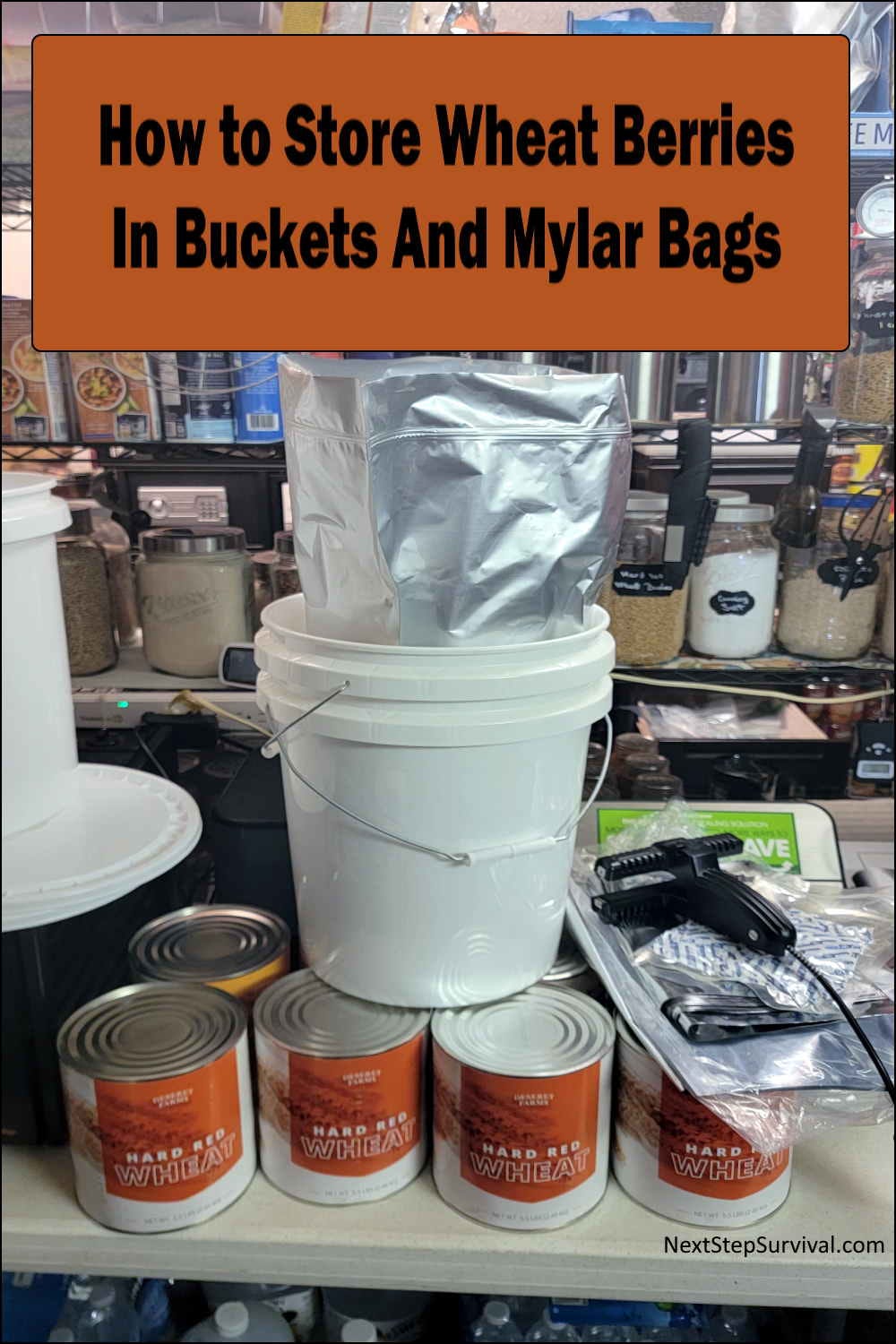 Storing Wheat Berries in Buckets And Mylar Bags Video
