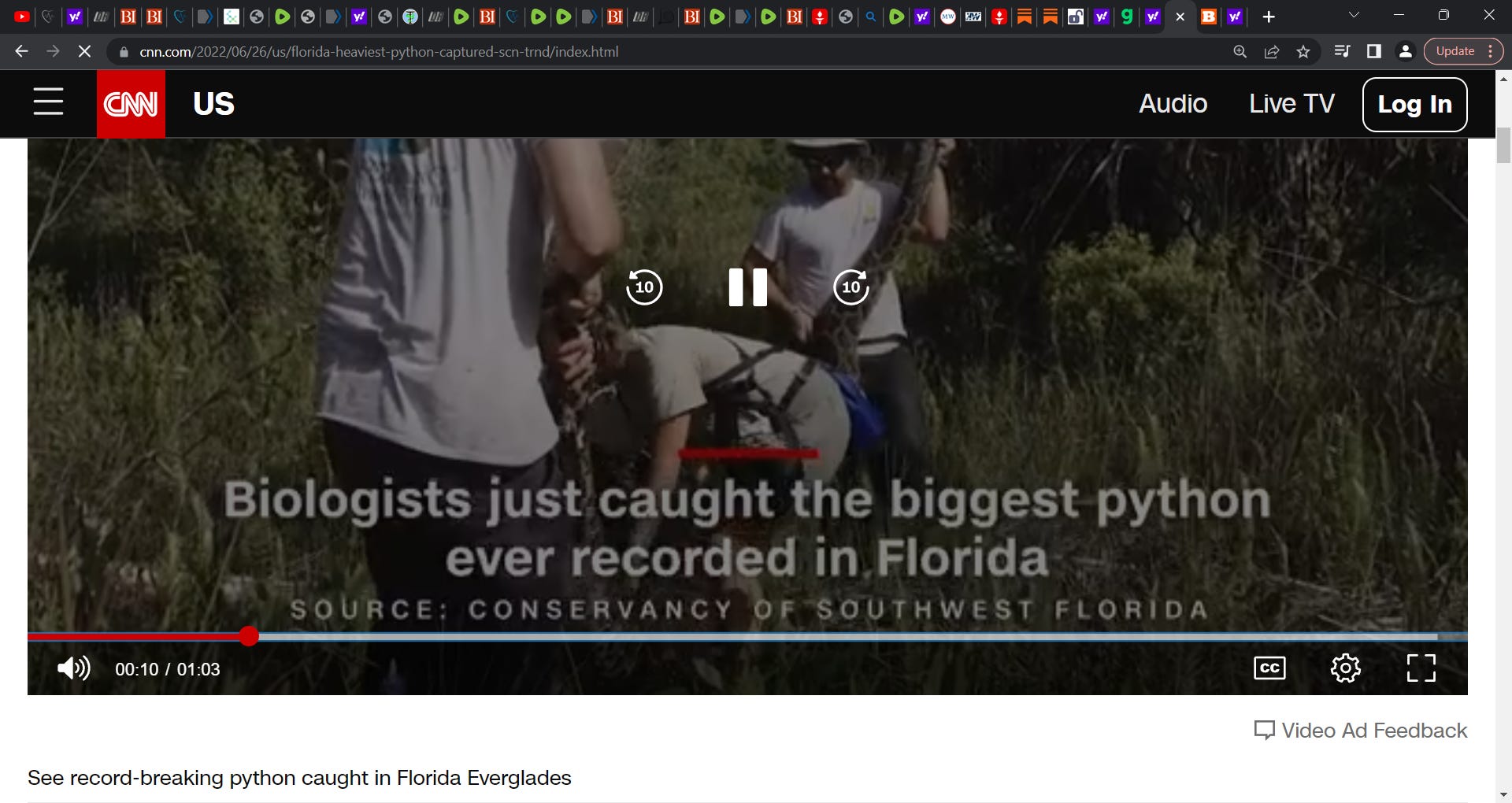 Florida has serious problem with pythons, alligators, and sharks! Its a ...