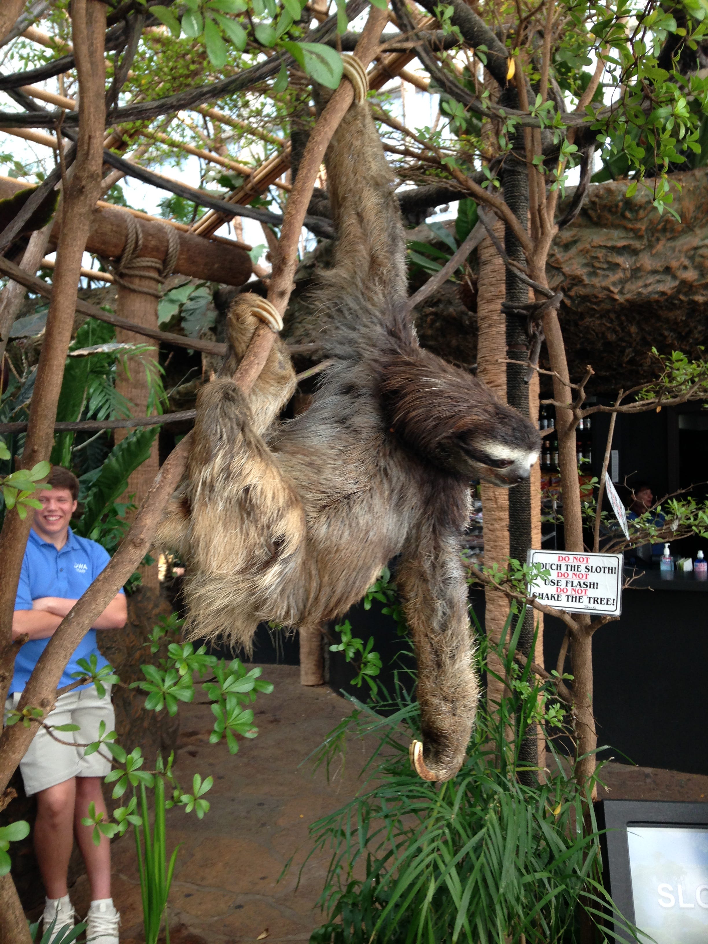 CPR news uses its platform to amplify vague accusations. Newly ...