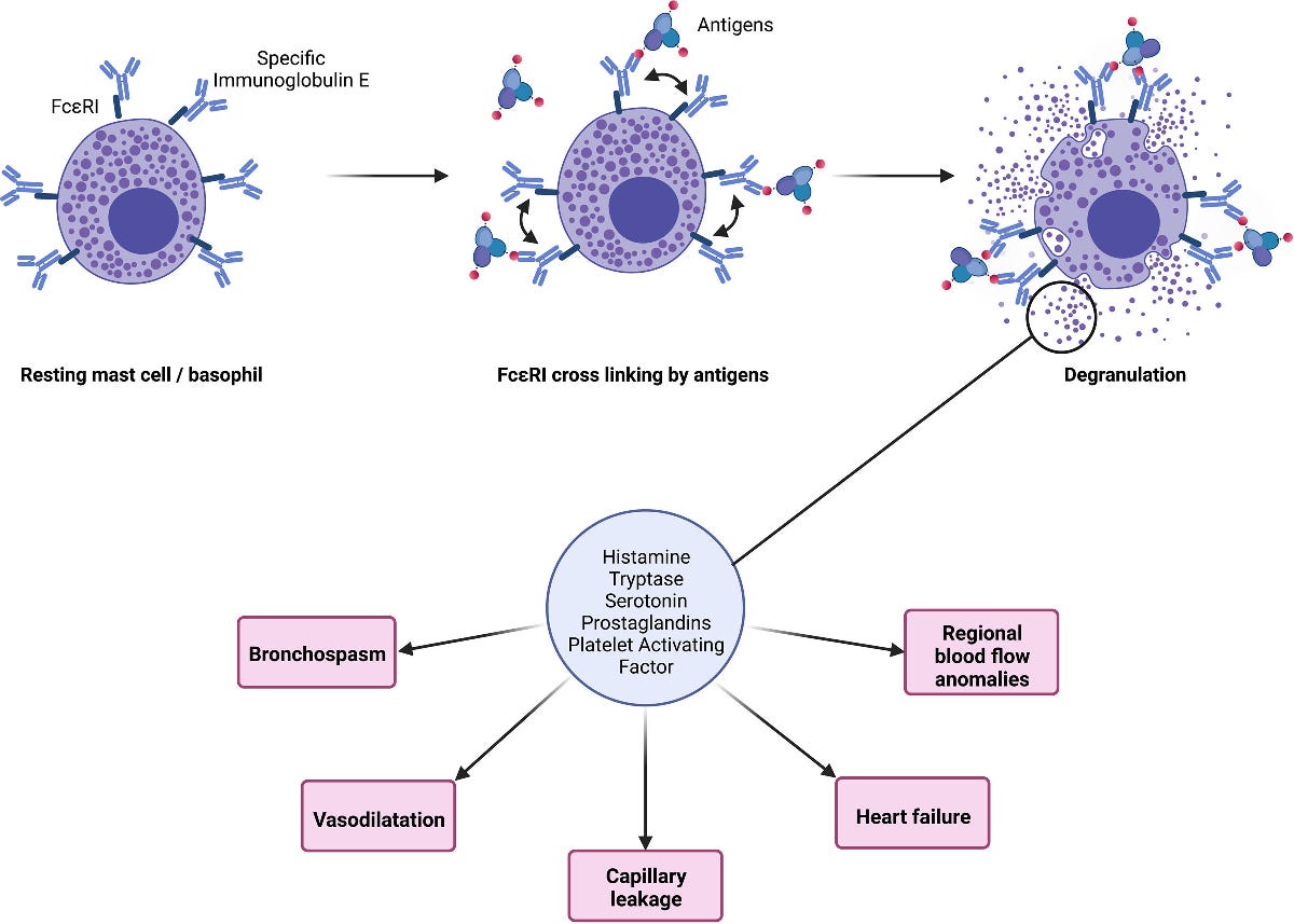 Perioperative anaphylaxis by Ron Litman