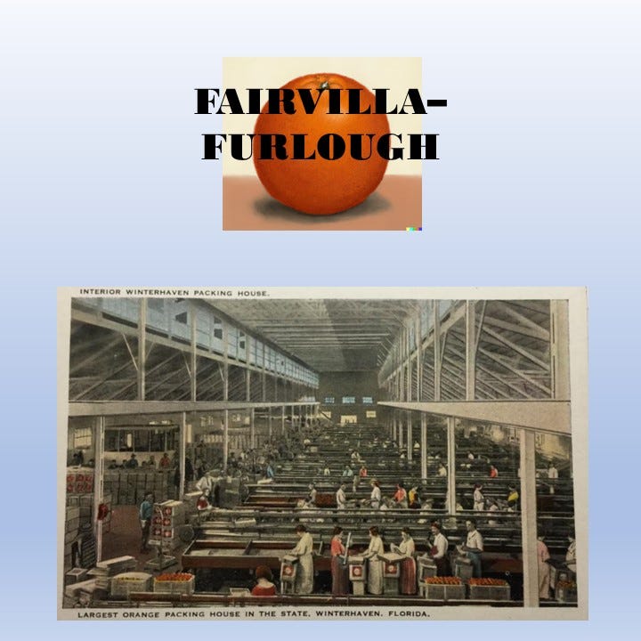 Florida Citrus Crate Labels Fairvilla to Furlough