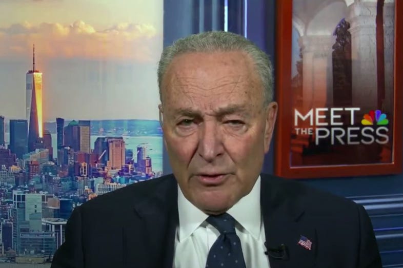 Chuck Schumer Delivers Muddled Message While Vowing To Fight Trump