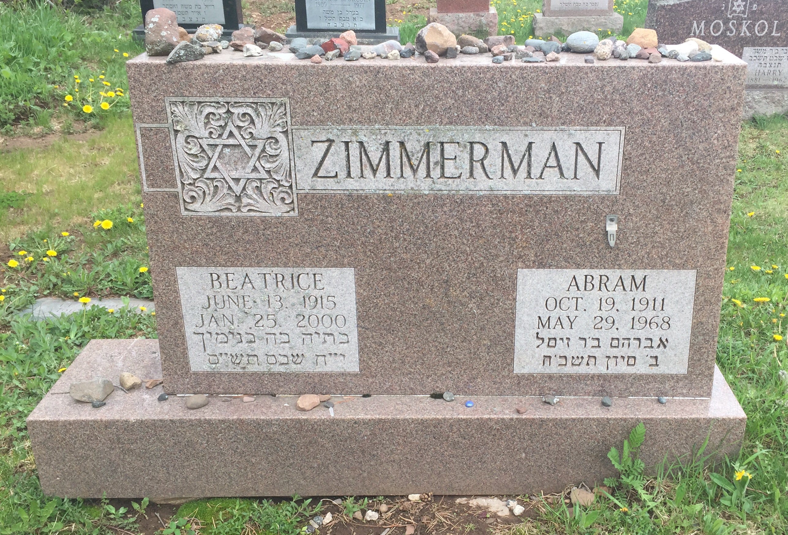 Beatty Zimmerman talks Bob Dylan's early years and road to fame