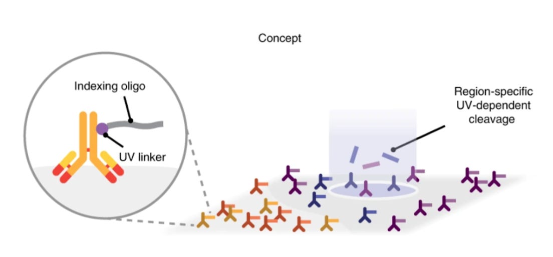 Spatial Barcoding Landscape of Sequencing-based Spatial RNA Technology: Part I