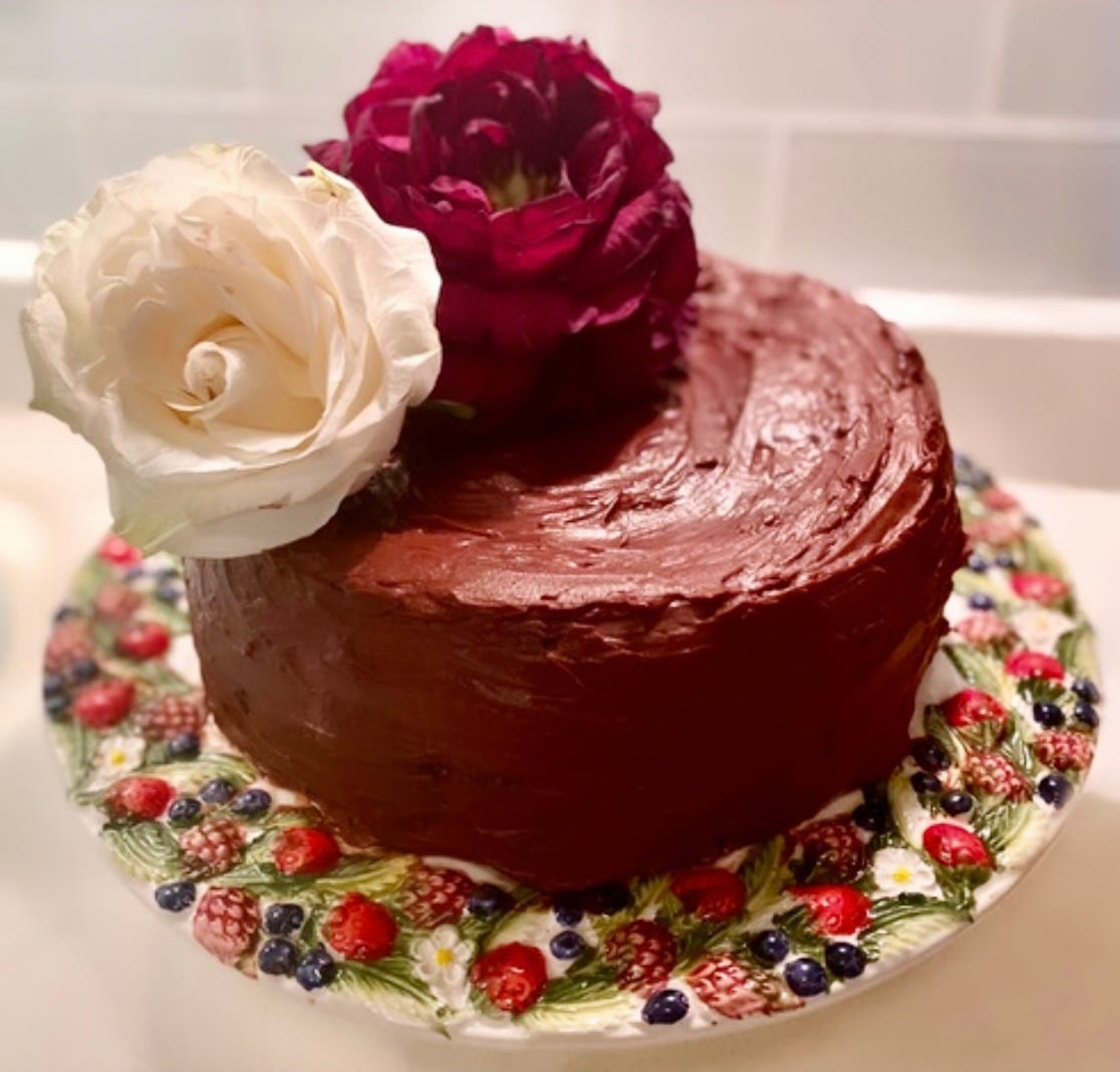 Chocolate Cake for Imaginary Lives by Jolene Handy