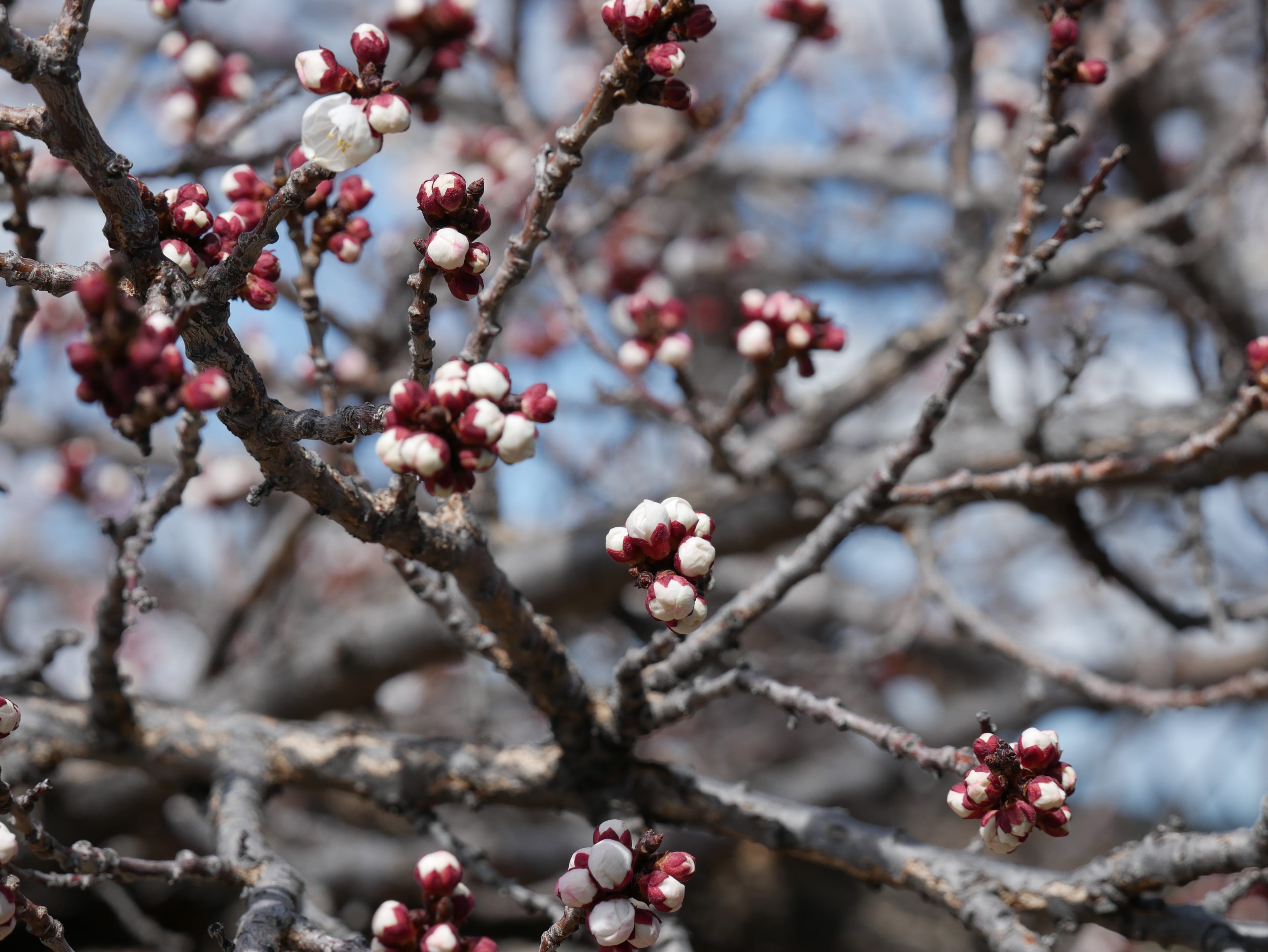 SStack As A Platform? - by (alex)Vairtere