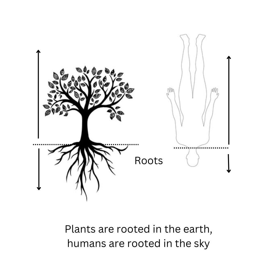 Human As Roots Notes And References For “Gaining Back Our Freedom” - 1984 Michio Kushi ...