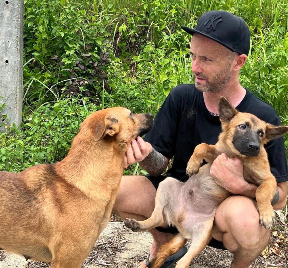 What dog is right for me sales