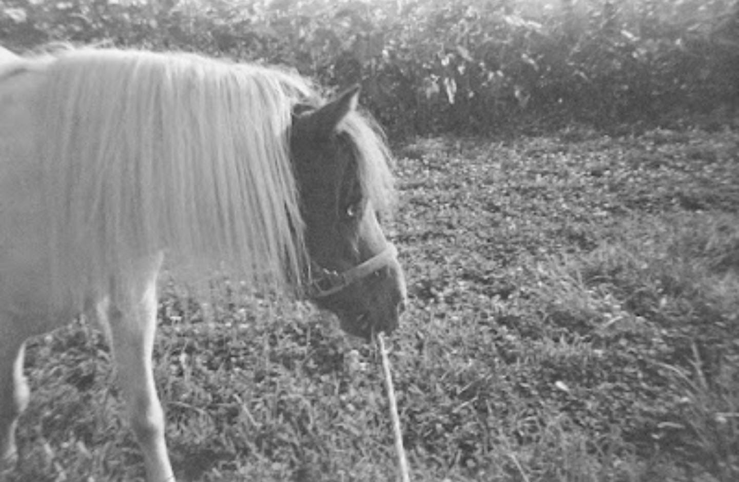 Why do we take photographs? by Katie Marquette