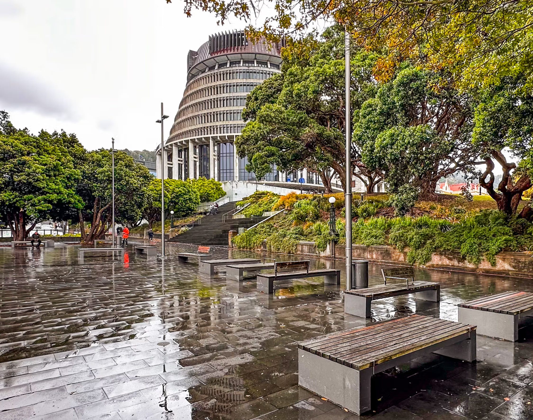 News Briefing 18 June 2025