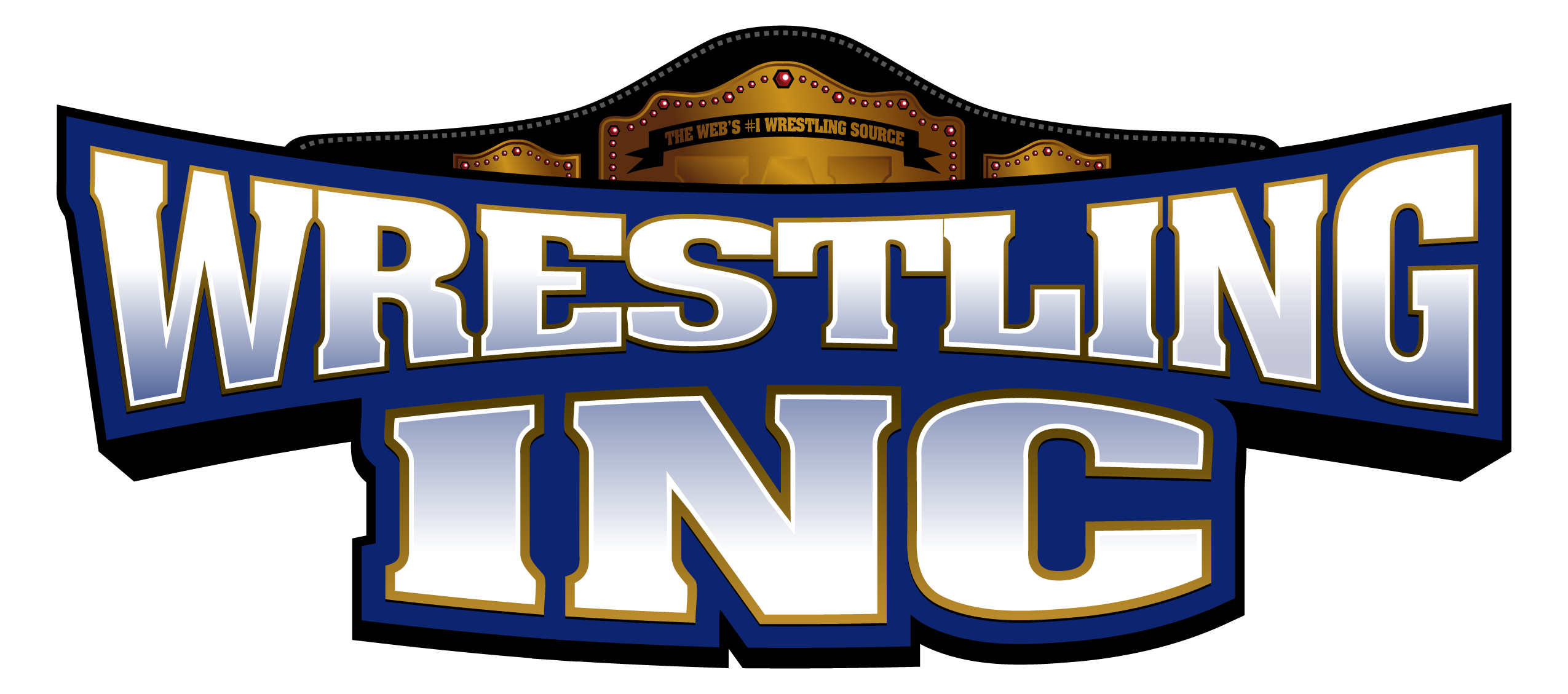 Pro wrestling inc store