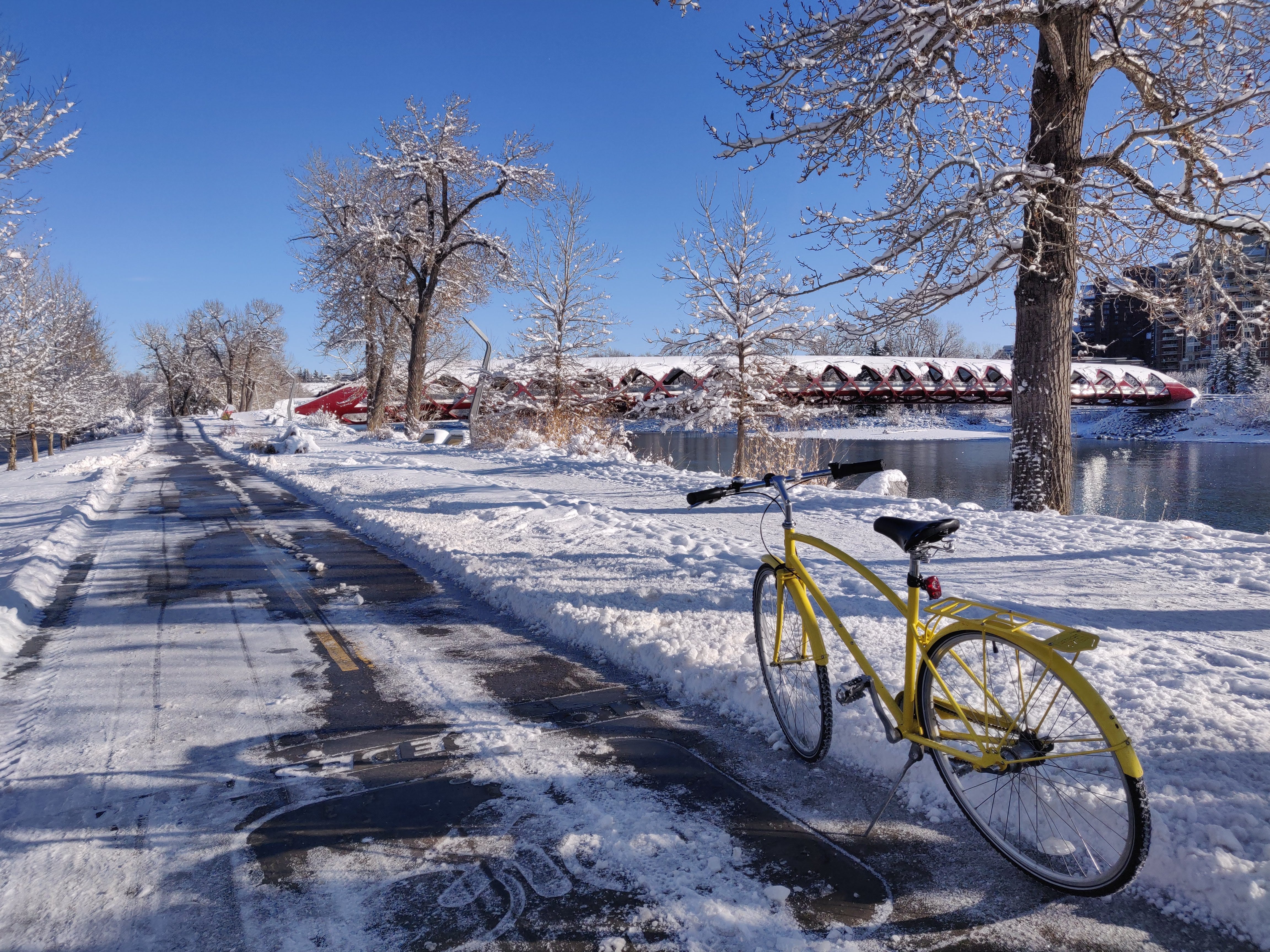 Best winter bike best sale wheels