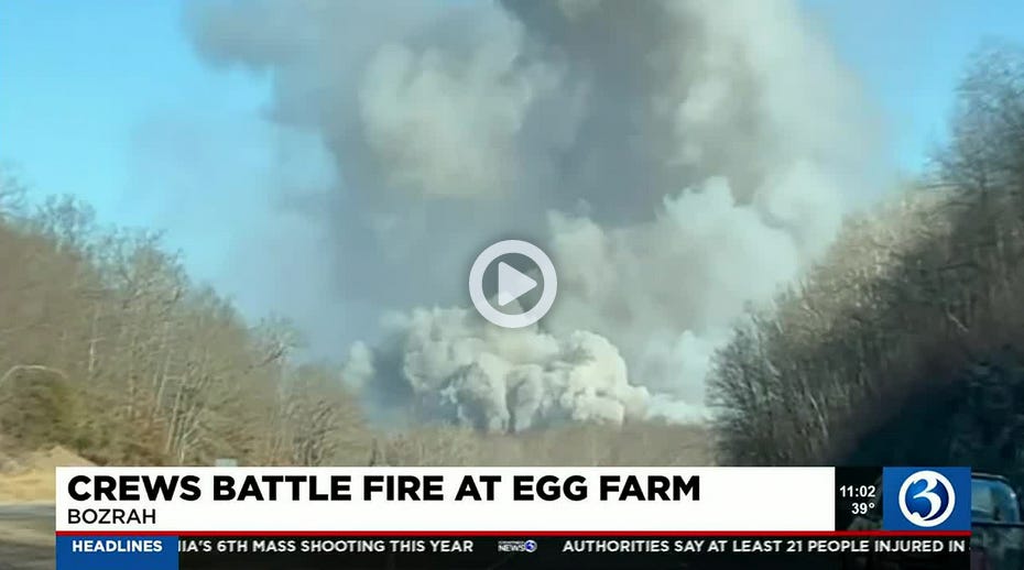 Fire Kills an Estimated 100,000 EggLaying Hens at Hillandale Farms in