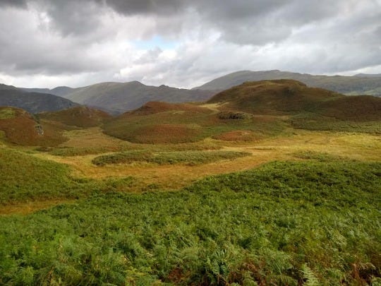 Monsters and Locales of Robuck Province - by Jamie Ryder